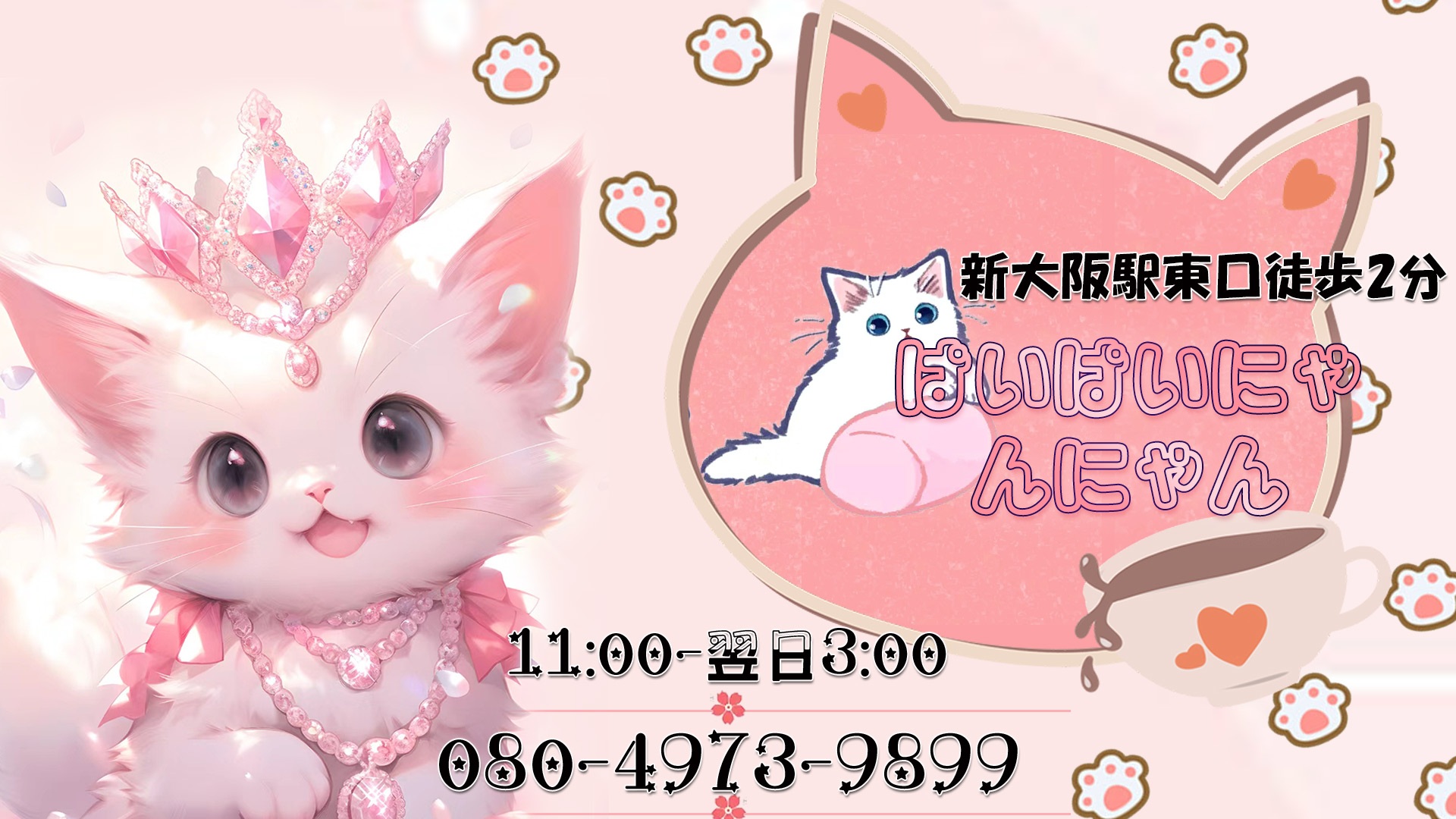 ぱいぱいにゃんにゃん